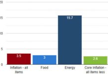 US CPI June 2026: Inflation Cools as Energy Prices Plunge CPI June 2026